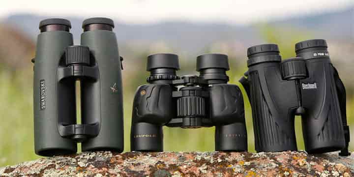 10 Best Binoculars for Bird Watching [Reviews 2021 ] - Optics Mag