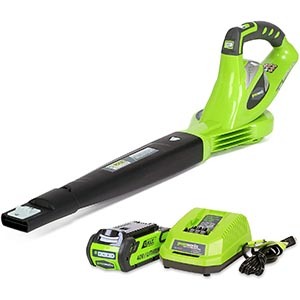 GreenWorks 24252 Cordless Leaf Blower