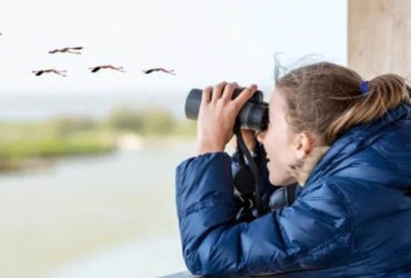 How to choose Binoculars for Bird Watching