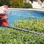 how to choose the Petrol Hedge Trimmer