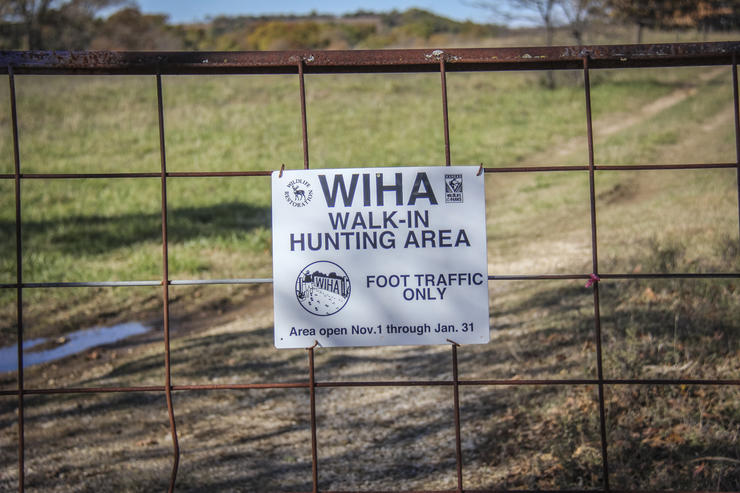 Should I Hunt Public Land?