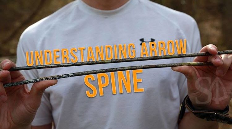 understanding arrow spine