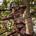 How to Pick A Perfect Tree for hunting