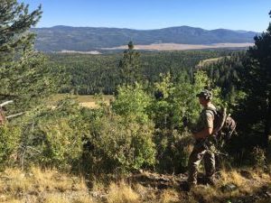 Physical Training for Elk Hunting [F.O.C.U.S. Your Effort]